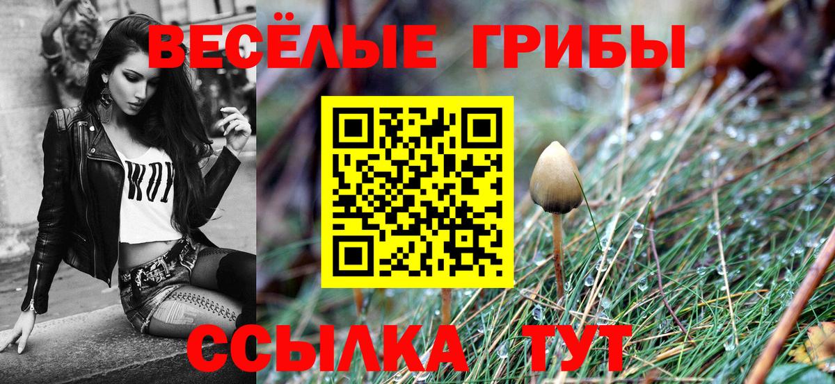 Галлюциногенные грибы MAGIC MUSHROOMS Кохма