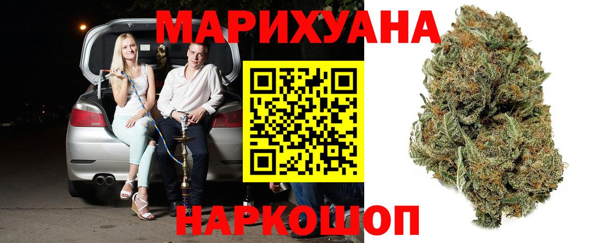 Марихуана сатива Кохма