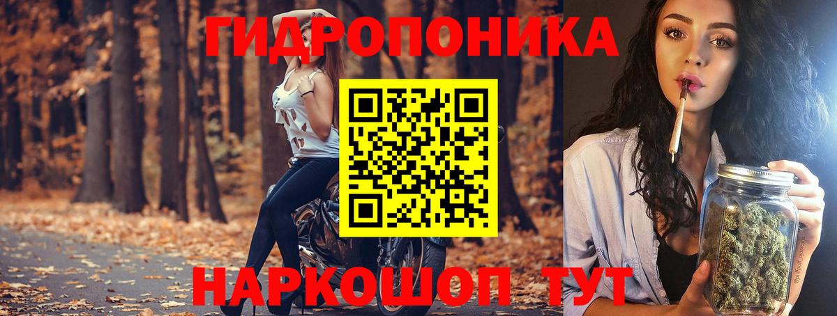 Шишки марихуана VHQ  Вход с VPN  Кохма  Каннабис семена  МАРИХУАНА тримм 